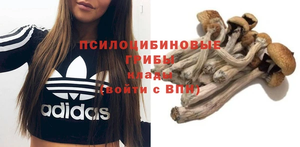 MDMA Армянск
