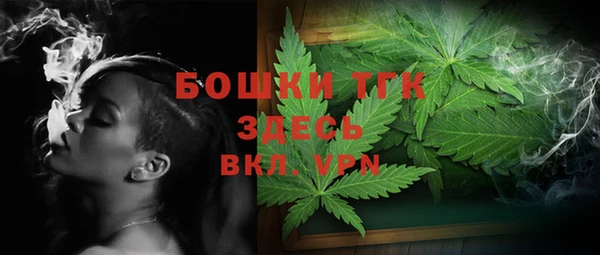 хмурый Арсеньев