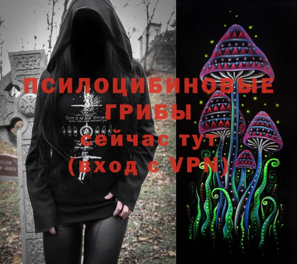 хмурый Арсеньев