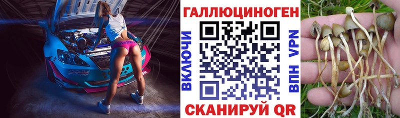 ОМГ ОМГ рабочий сайт  Ясногорск  Галлюциногенные грибы MAGIC MUSHROOMS 